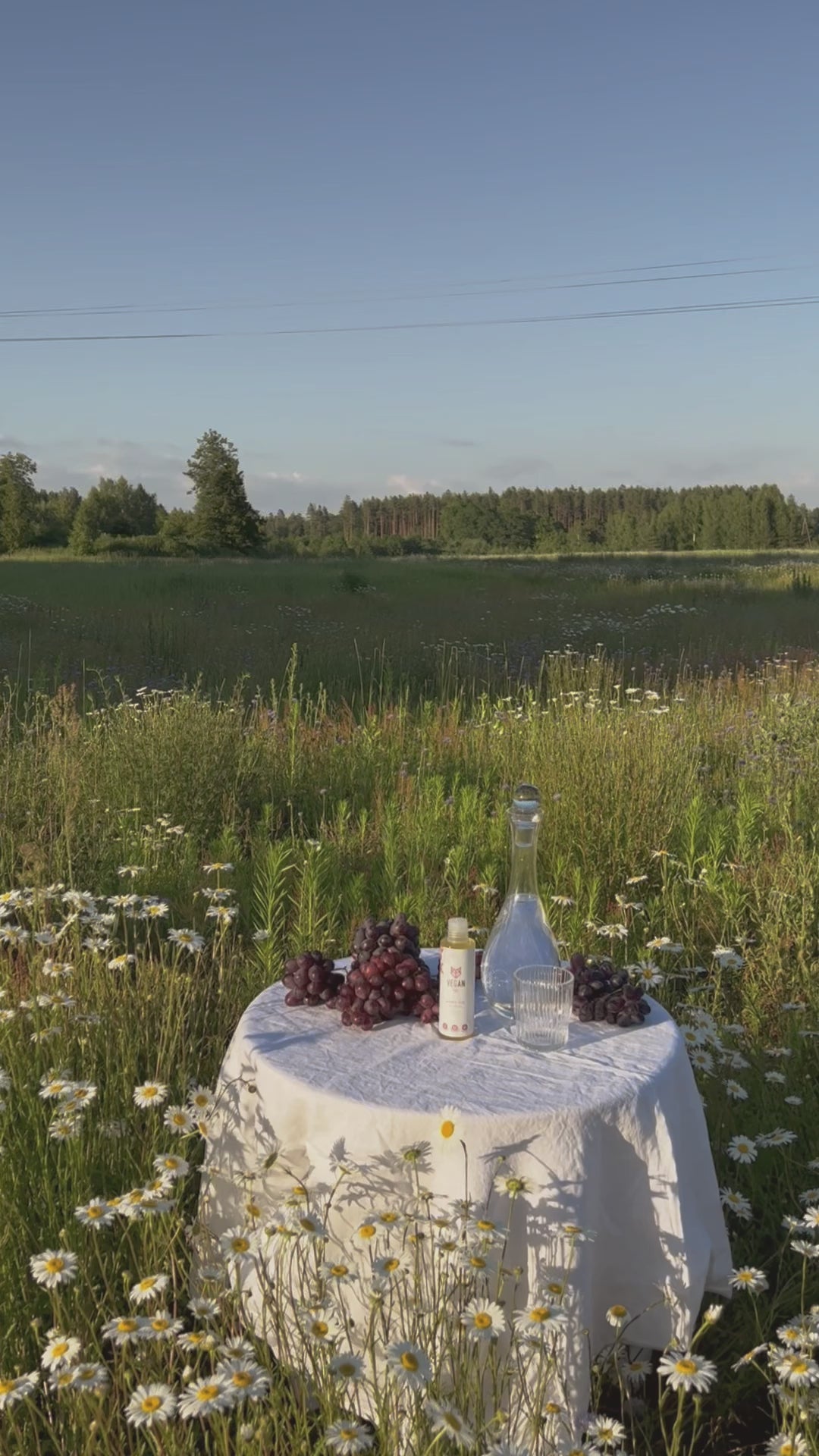 Ladda video: 